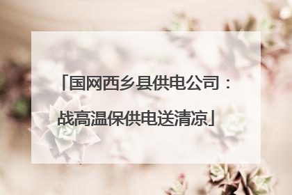 国网西乡县供电公司：战高温保供电送清凉